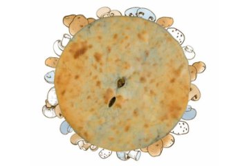 Пирог с картофелем и грибами